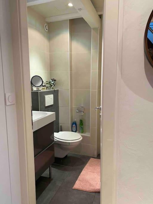 Charmant Duplex Privatise, Climatise, 2 Chambres สตราสบูร์ก ภายนอก รูปภาพ