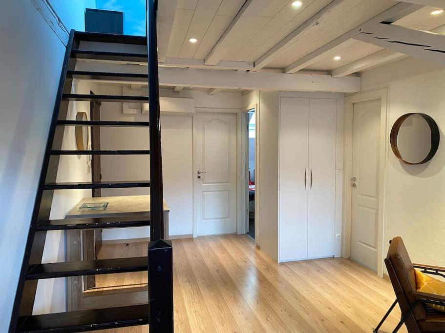 Charmant Duplex Privatise, Climatise, 2 Chambres สตราสบูร์ก ภายนอก รูปภาพ