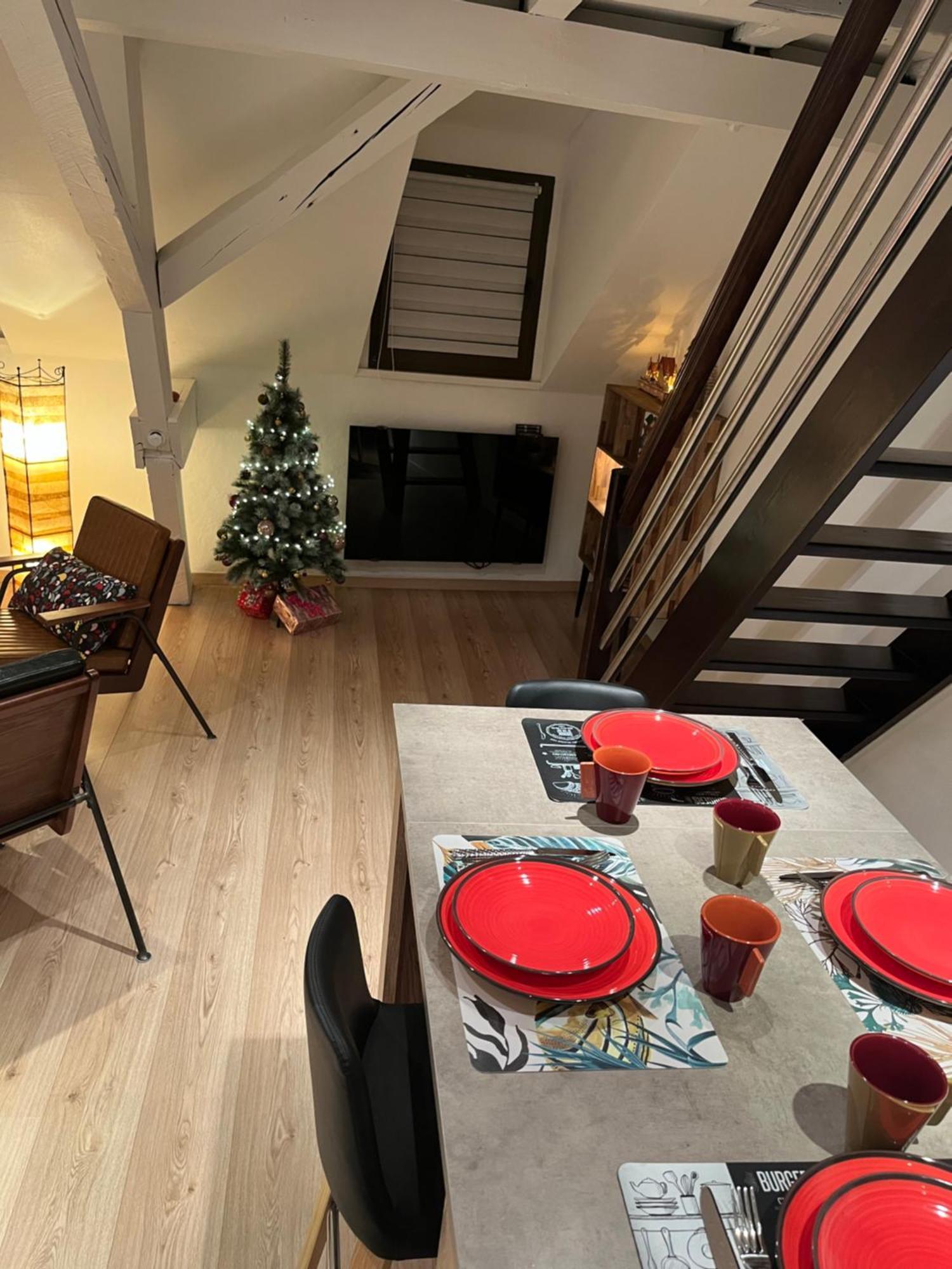 Charmant Duplex Privatise, Climatise, 2 Chambres สตราสบูร์ก ภายนอก รูปภาพ